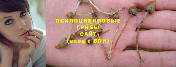 мескалин Нефтегорск