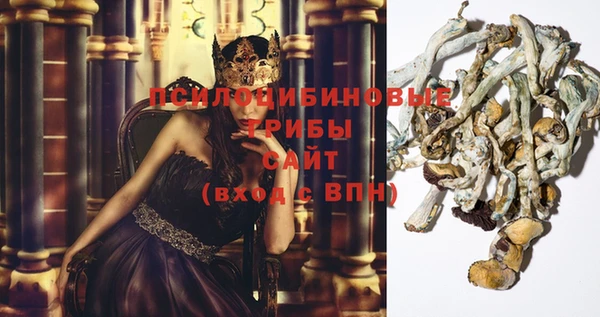 СК Валдай