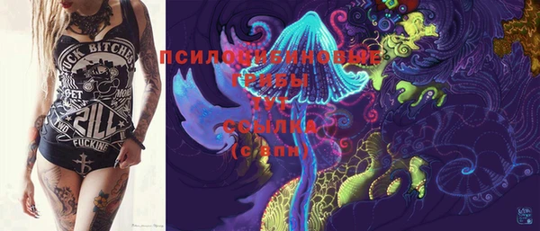 mix Новодвинск